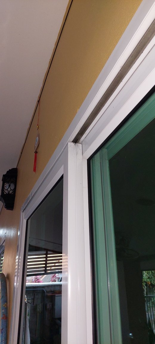 20230120_070138.jpg