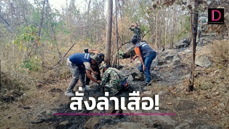 ใหม่ปกเว็บ-14-768x433.jpg