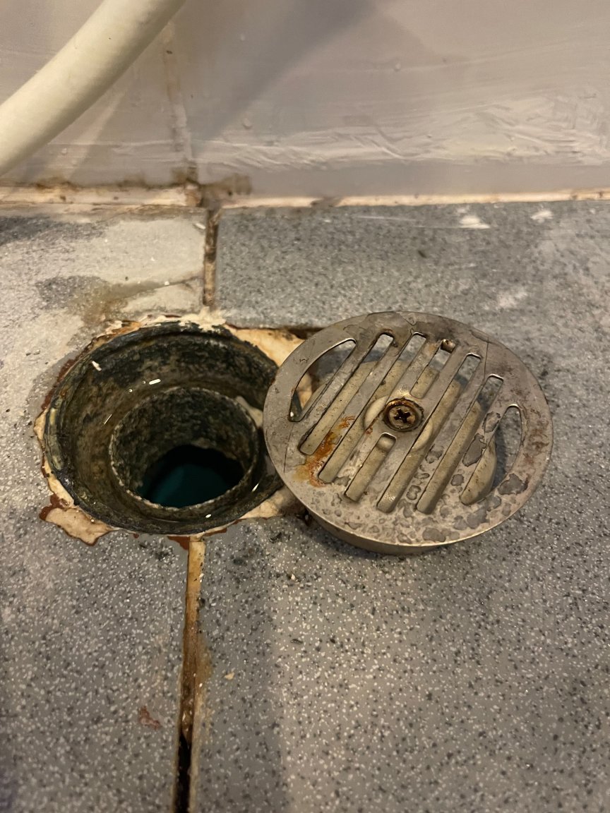drain.thumb.jpg.890c5b3b3fbb03a06ae571513abd3770.jpg