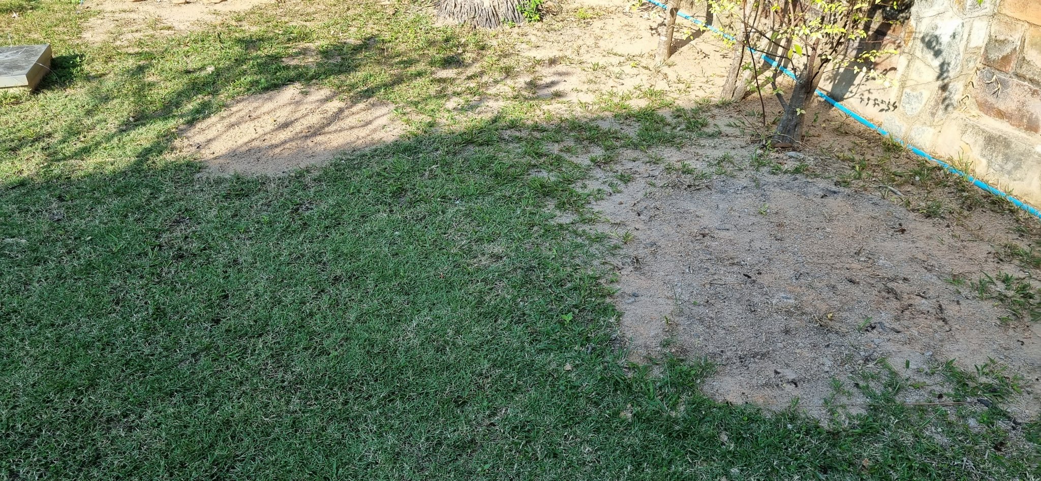 image.thumb.jpeg.b94d8652ca4eec795ea90a46dd79af39.jpeg