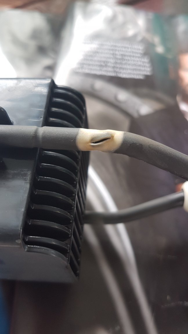 Clorinator 1.jpg
