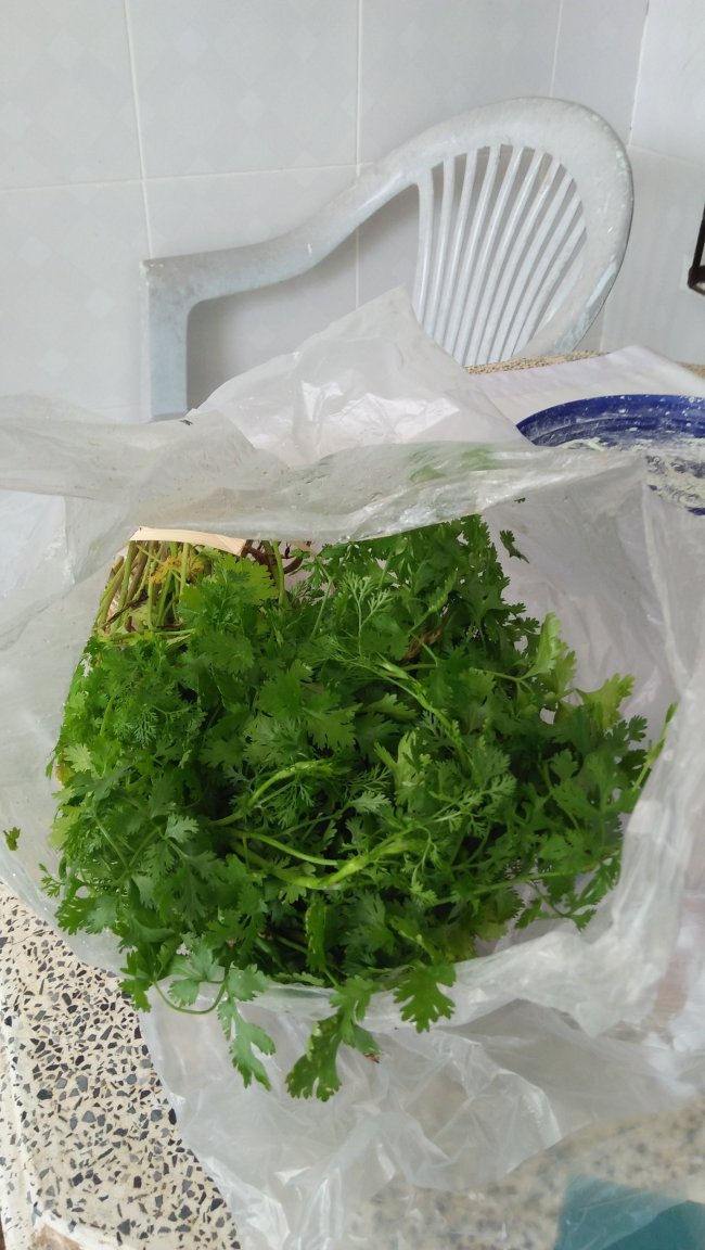 IMG20230216134915.jpg