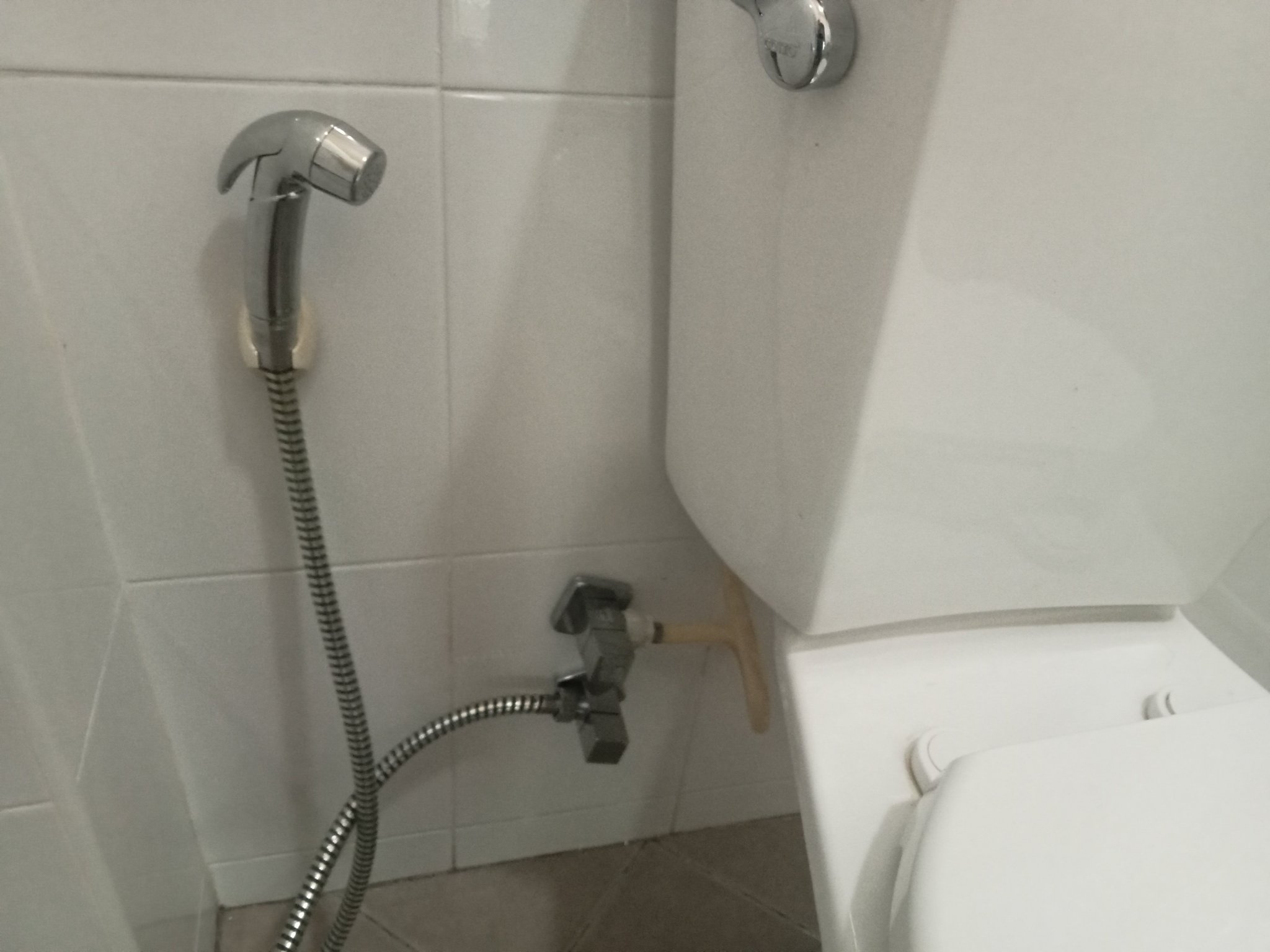 IMG20230224165231.thumb.jpg.58b30fe6f83af14fae6e750cccc61053.jpg