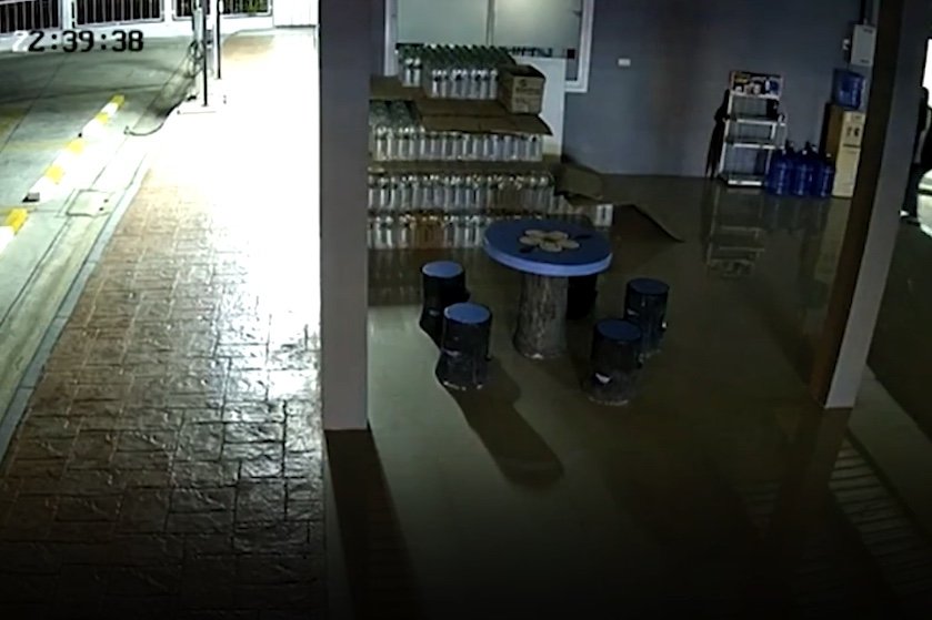 image.jpeg