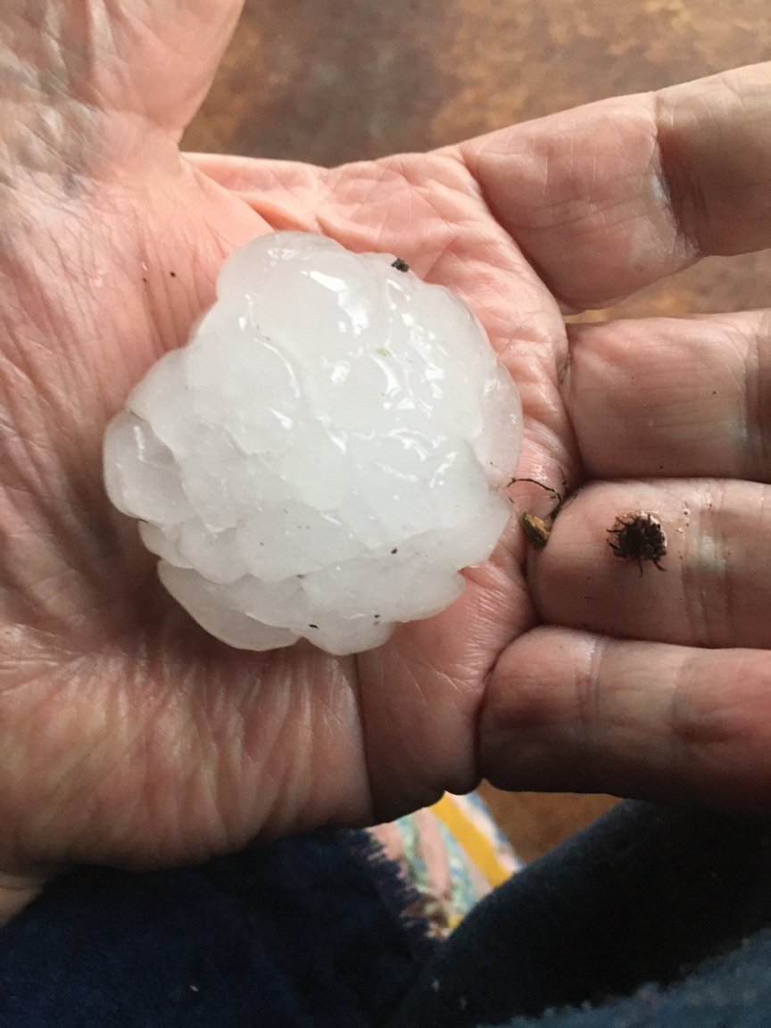 Hail 3-18-23.JPG