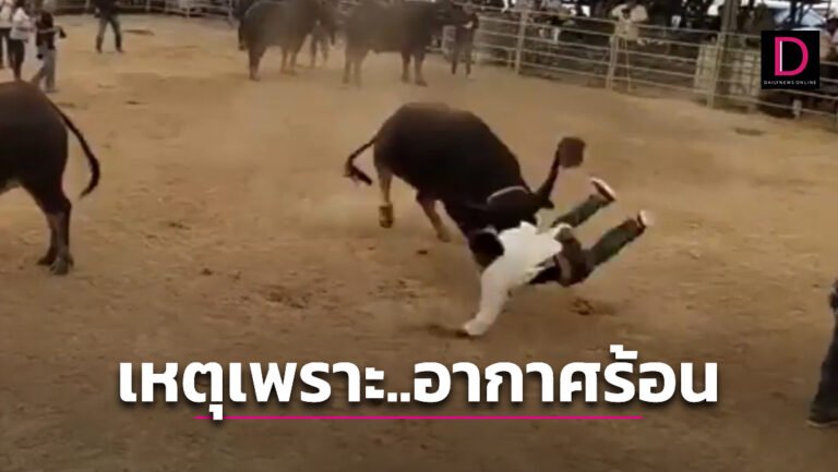 1-แบบปกใส่คำพูด-New-69-768x433.jpg