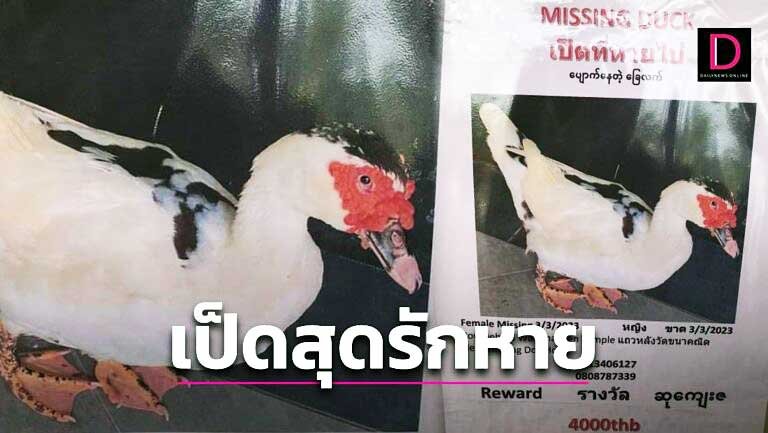 p1.jpg