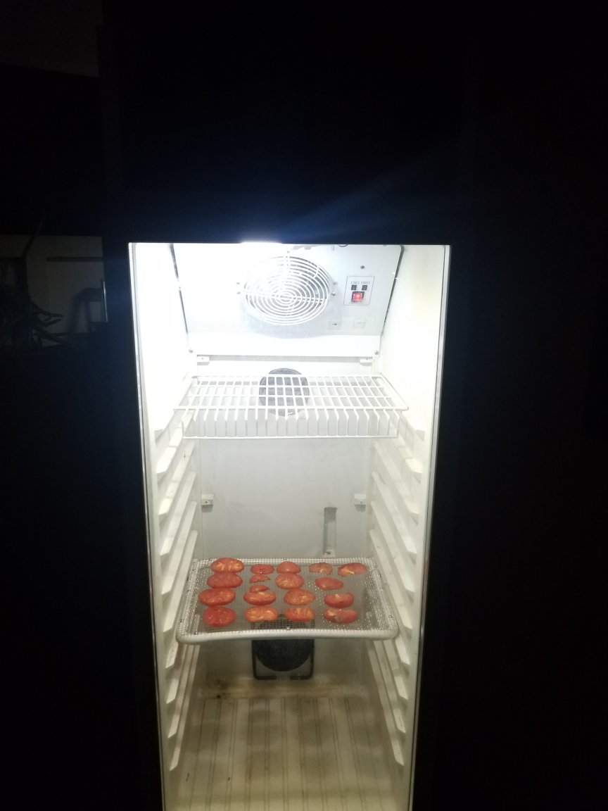 20230319_212000.jpg