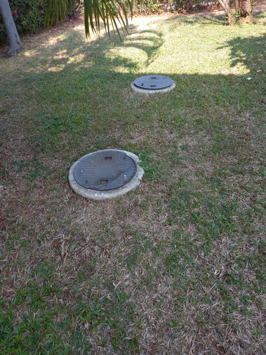 20230406_152336.jpg