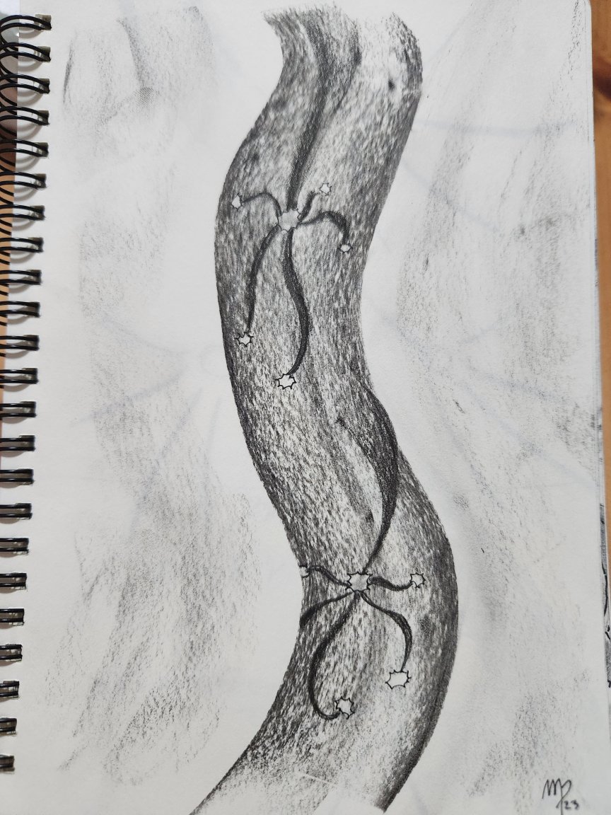 20230422_214152.jpg