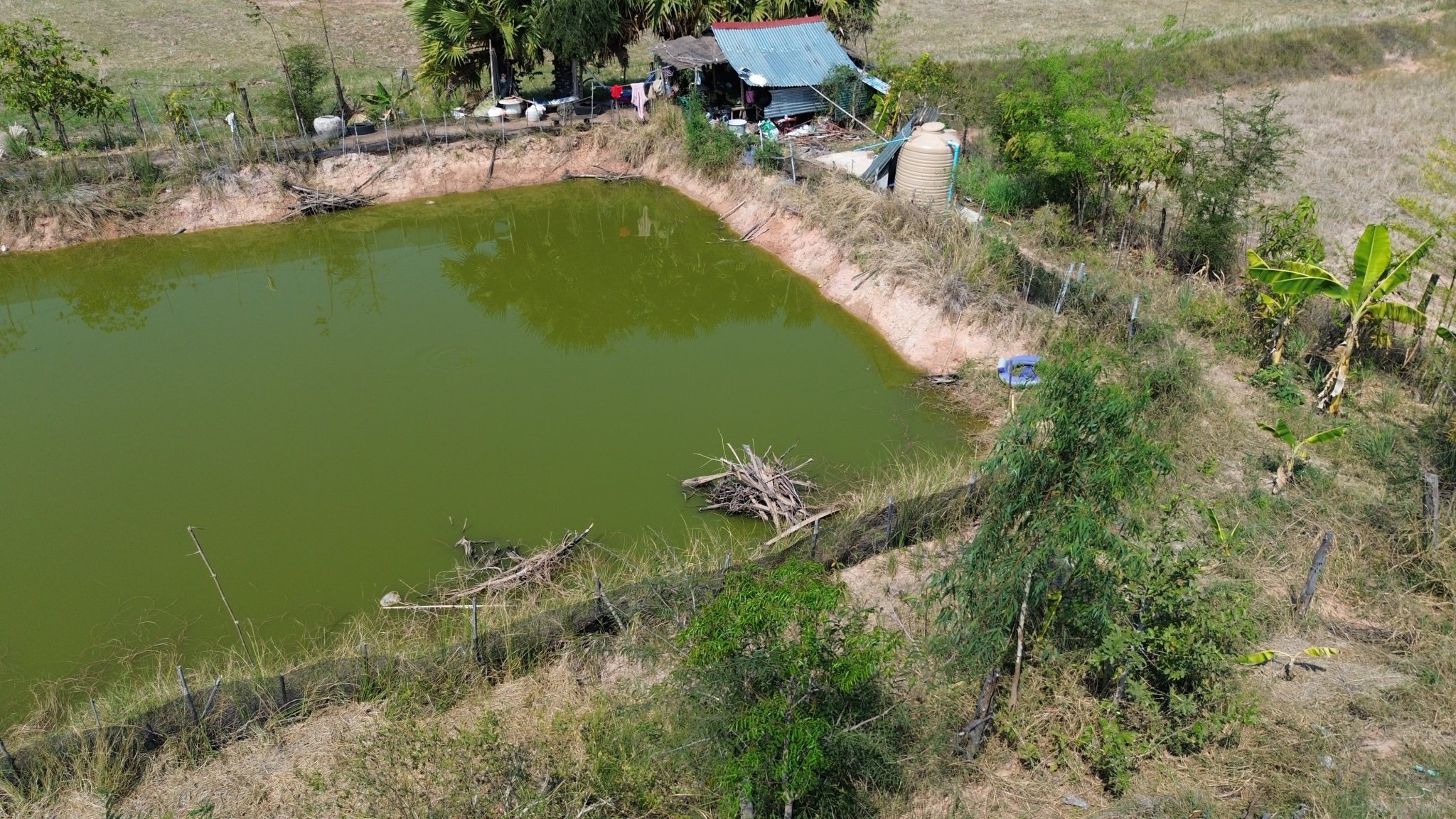 DJI_0060.thumb.JPG.399a99a6126ee31e90a5f3de50537242.JPG