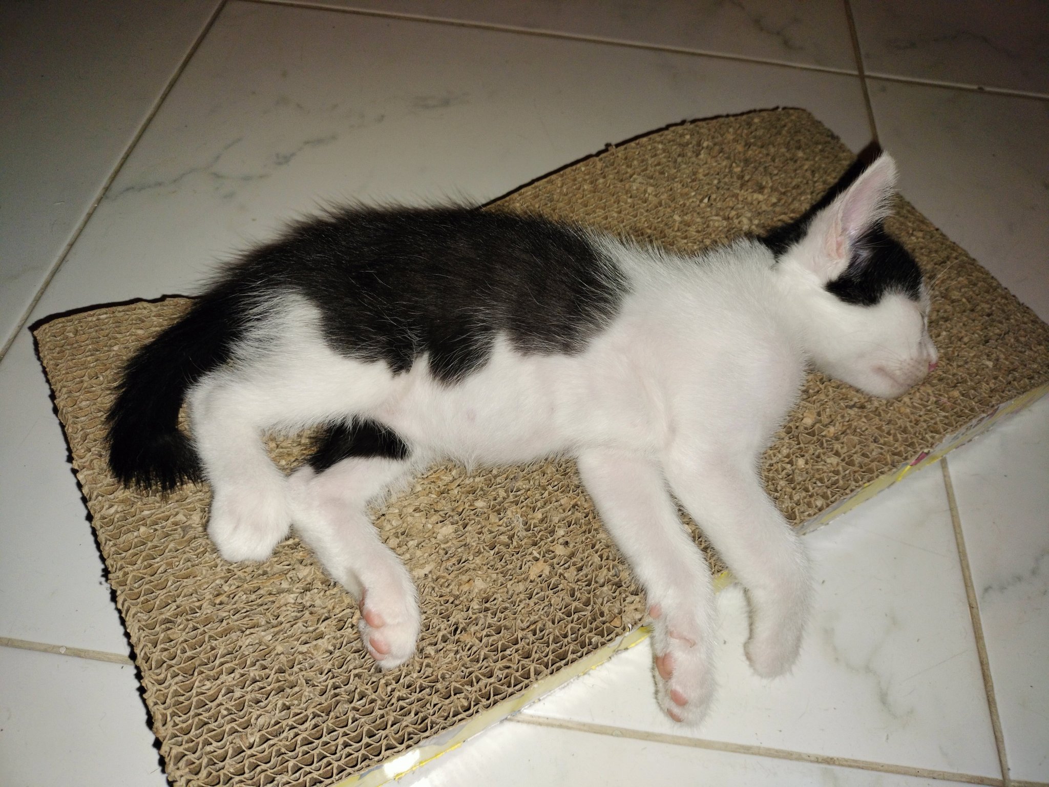 IMG20230315190721.jpg