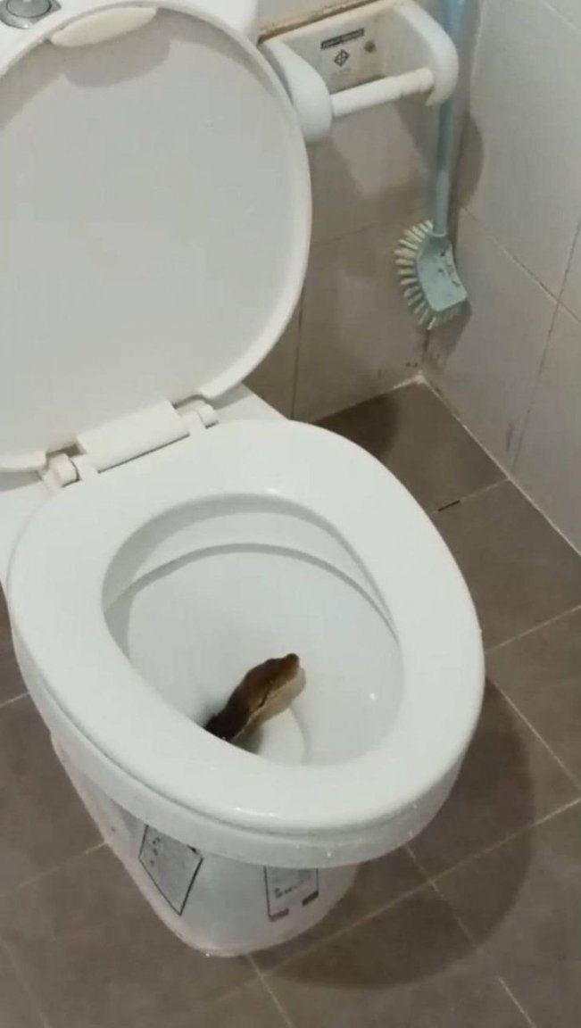 aHR0cHM6Ly9zLmlzYW5vb2suY29tL25zLzAvdWQvMTc2NC84ODIzMDMwLzE2ODE4MjQyNzgzODEuanBn.jpg