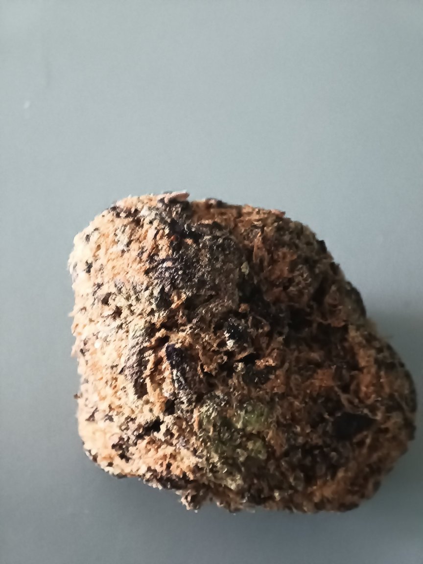 CaliforniaLimes.thumb.jpg.c1c05065cfa3bc82943b54c90aa21290.jpg