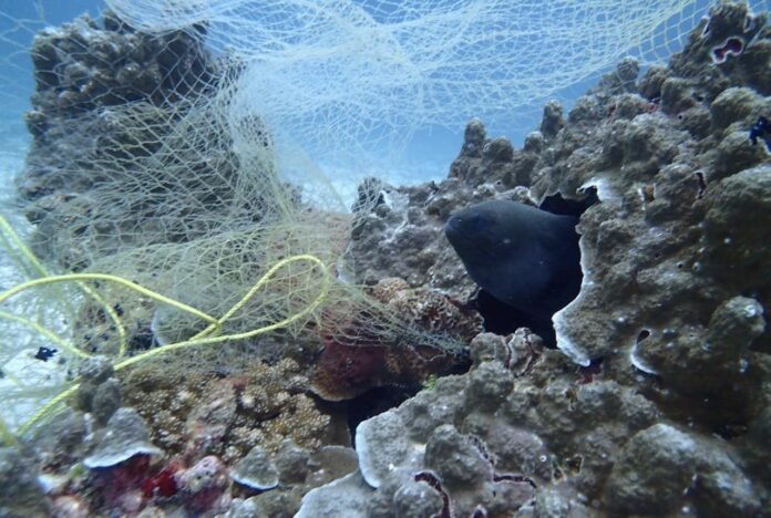 1,000 Meter Long Fishing Net Removed From Underwater Reef in