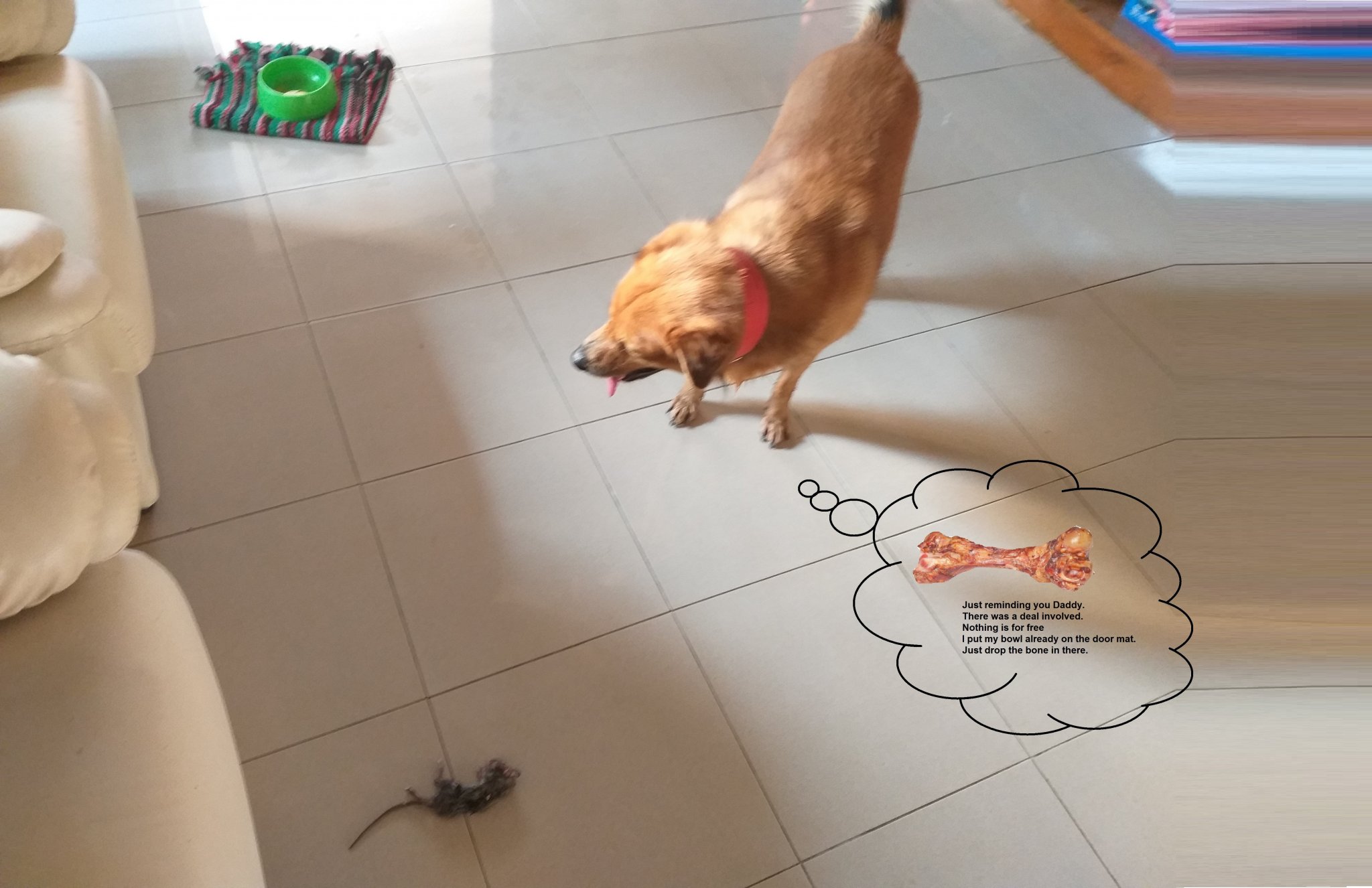 20191219_163908.thumb.jpg.4f77f0df33ed7c7a01a1bbfdc85691da.jpg