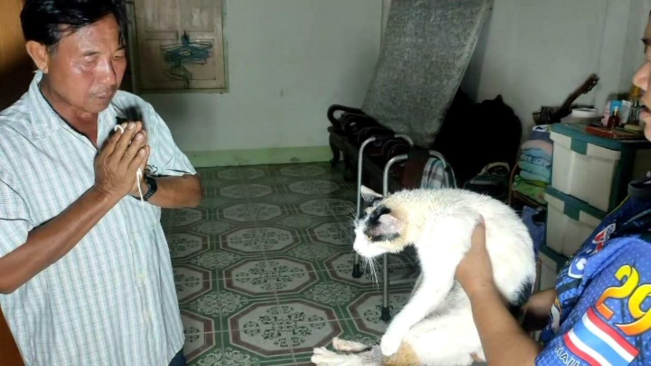 image.jpeg