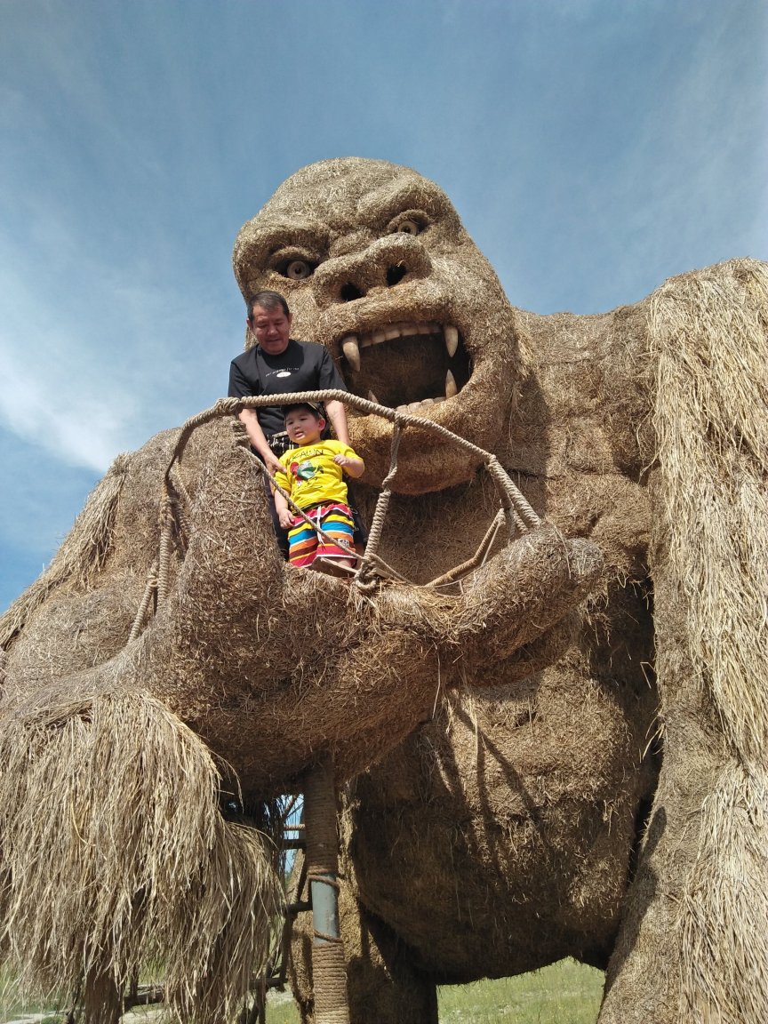 straw2.jpg