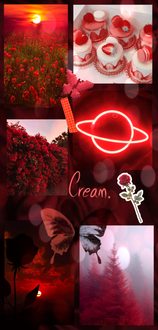 1920516316_0000cream.thumb.png.b8884fce47ae86550653d619d9c3872c.png
