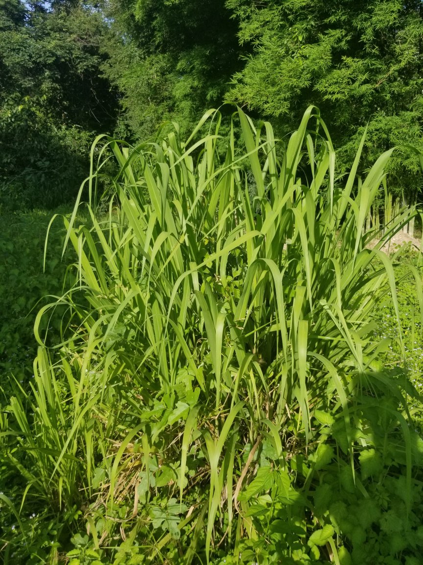 20230702_165451.jpg