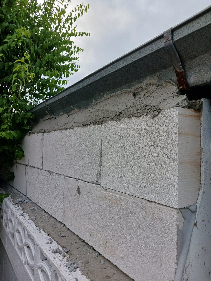 20230720_071233.thumb.jpg.bdf396e816a6d3ba6a231085d1a3e55f.jpg
