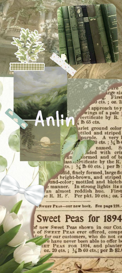 218879742_000anlin.thumb.png.9967b833796c4d3e3d3df73b3648dbb5.png