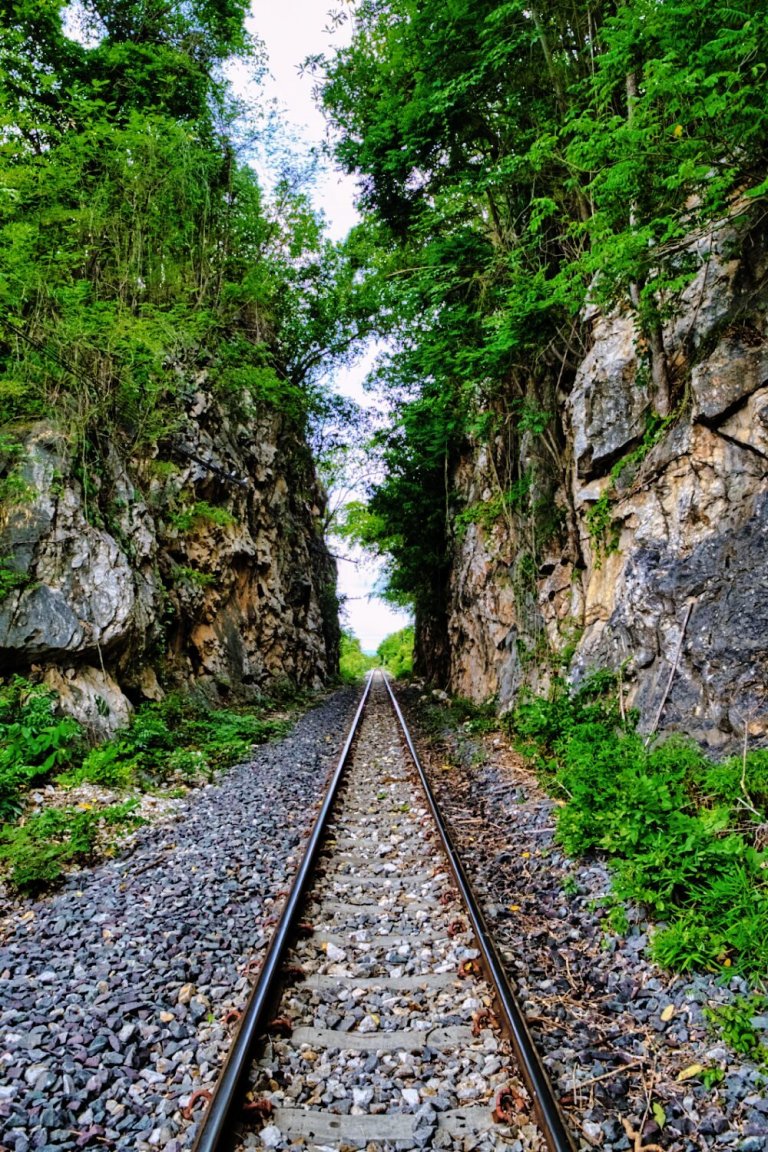 DSCF6380.jpg