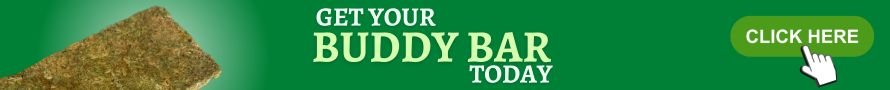 buddy-bar-post-banner.jpg