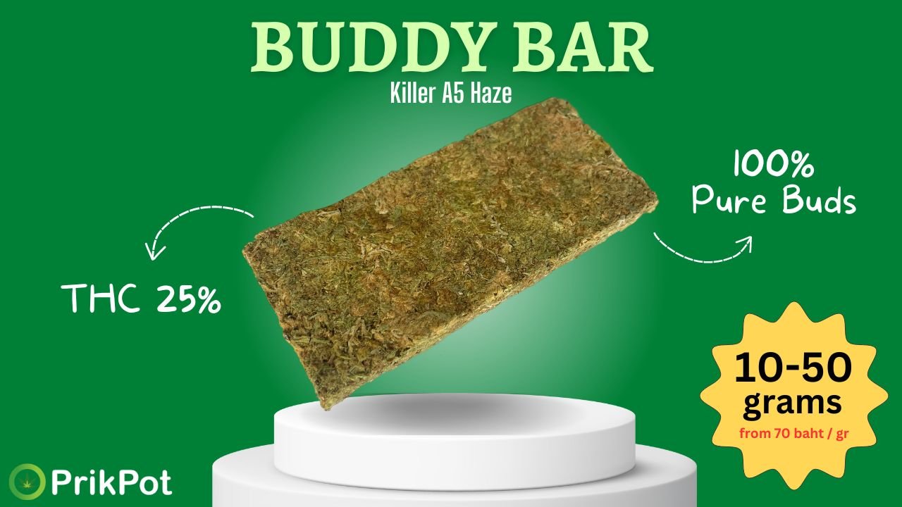 buddy-bar-prikpot-wide.jpg