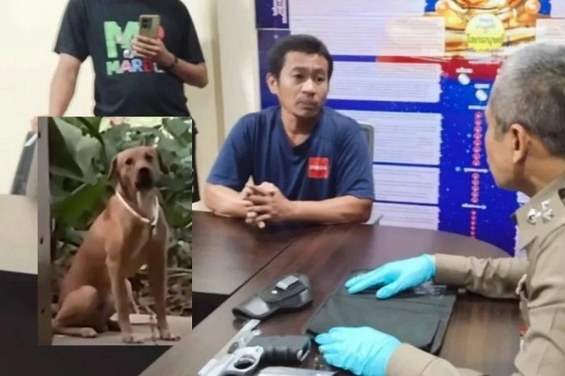 Thai Man Kills 1 Injures Another In Deadly Dog Dispute - Central ...