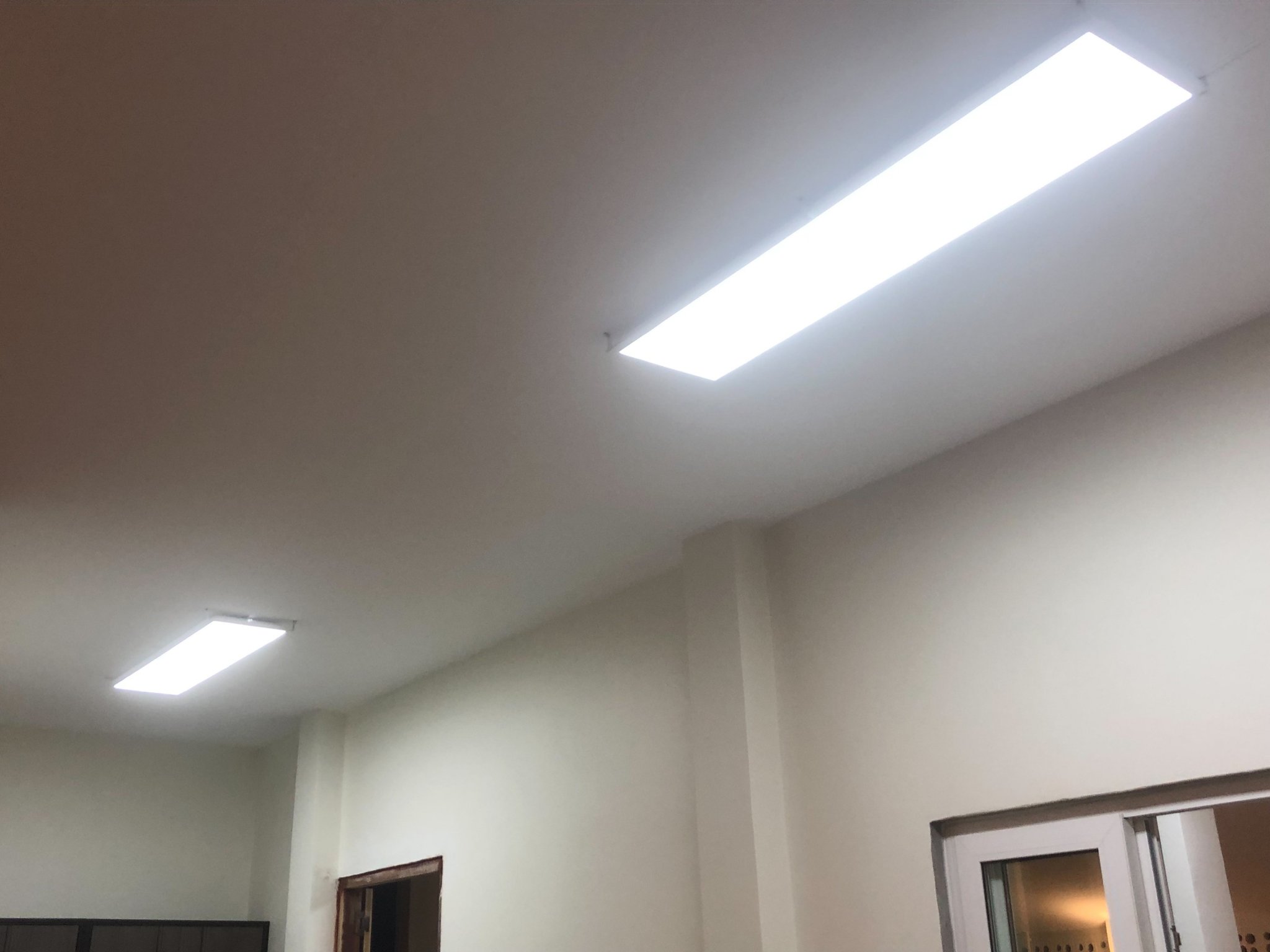 1692175157364.thumb.jpg.1823b9f96253719567cd3d59988dd009.jpg