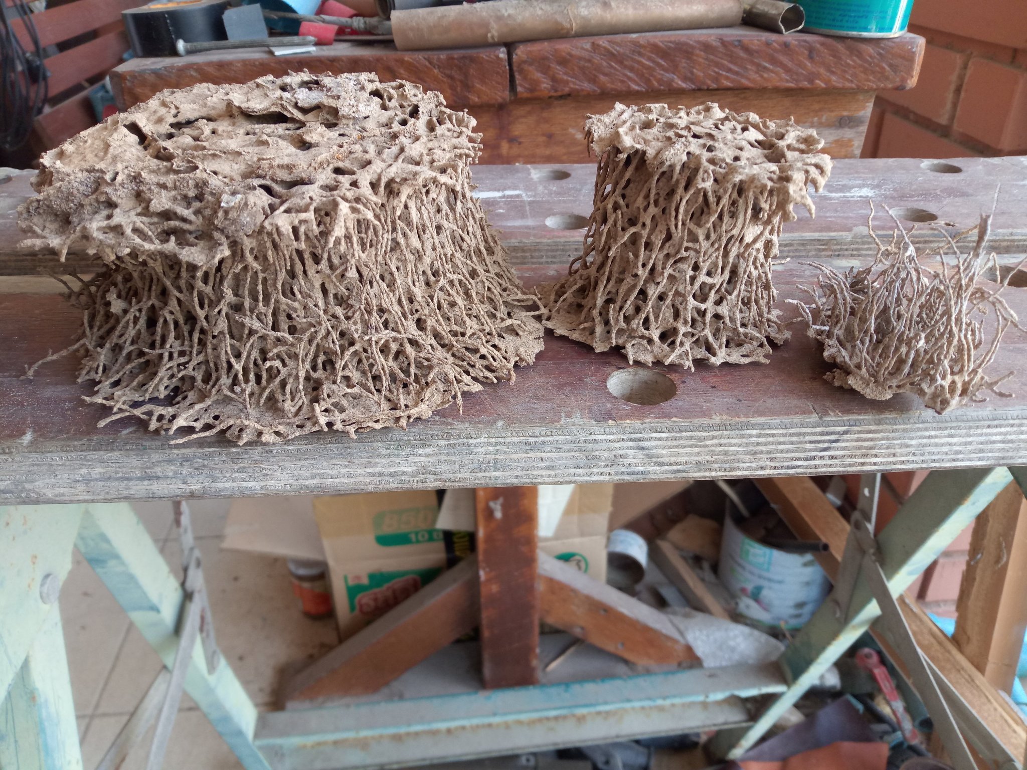 termite nest.jpg