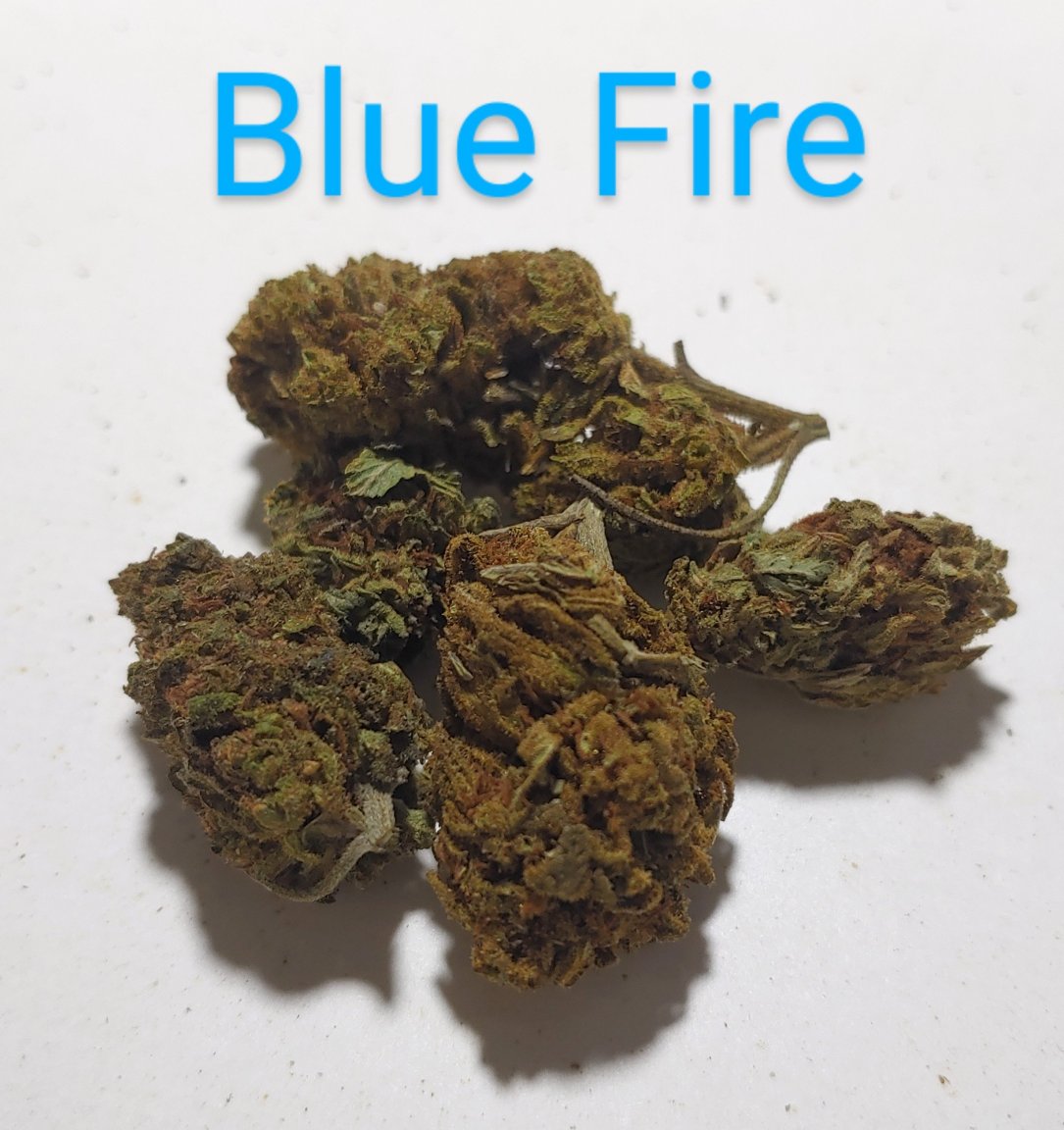 2023-08 blue fire.jpg