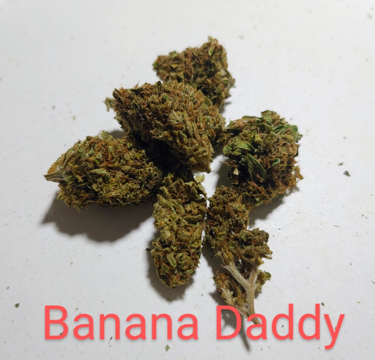 2023-08 banana daddy.jpg