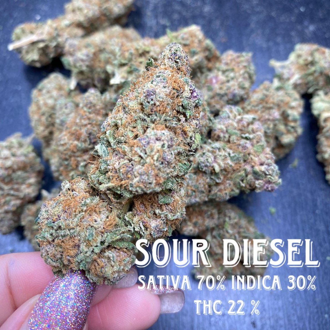 359550846_234268849084023_235480897820005114_n (1).jpg