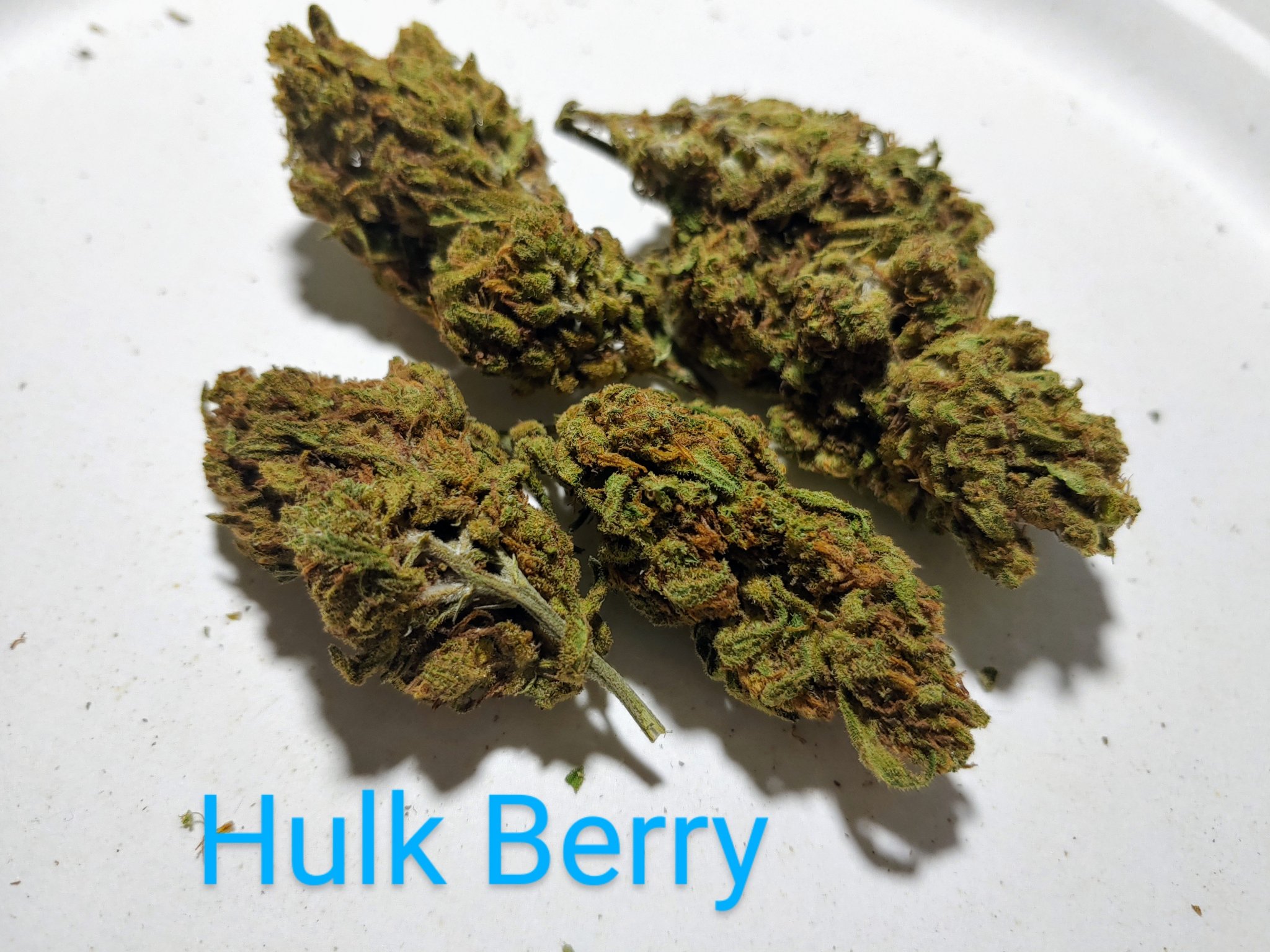 2023-08 hulk berry.jpg