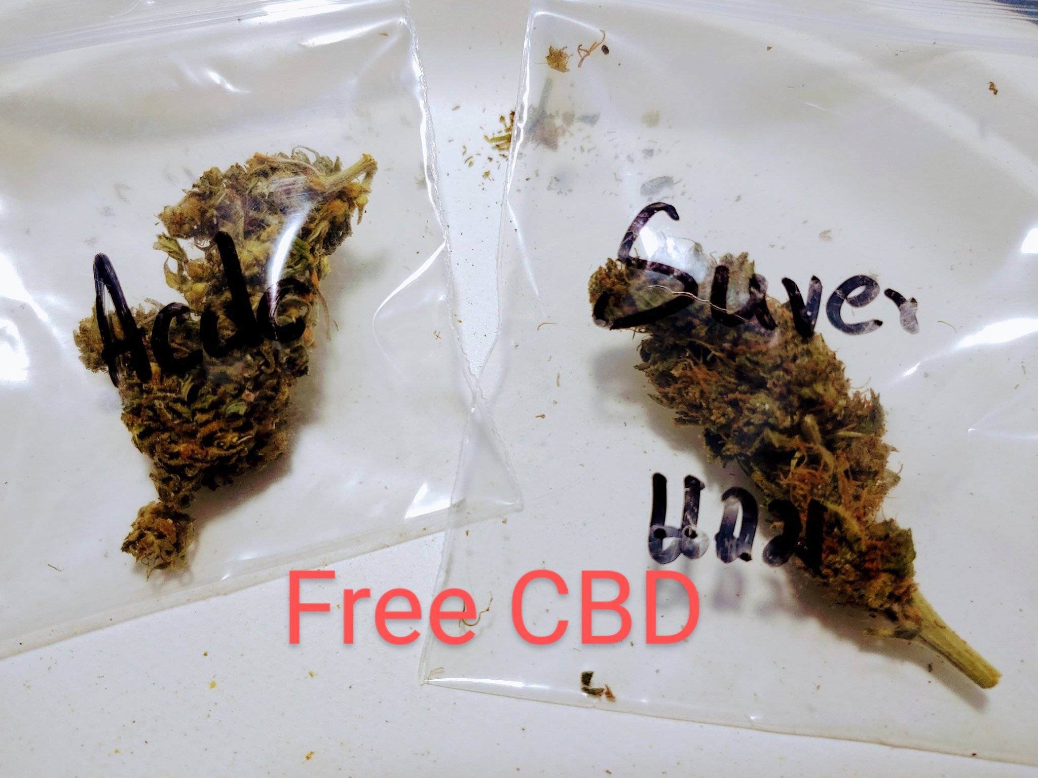 2023-08 free cbd.jpg