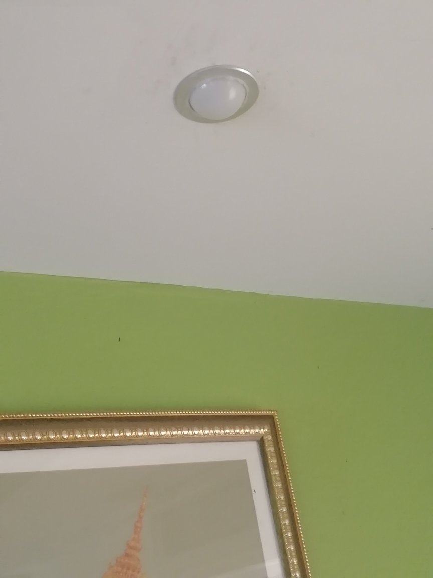 IMG_20230802_091444.jpg