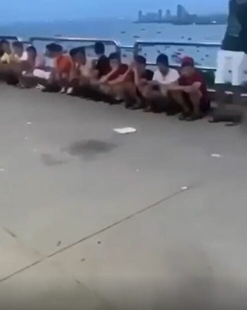 image.jpeg