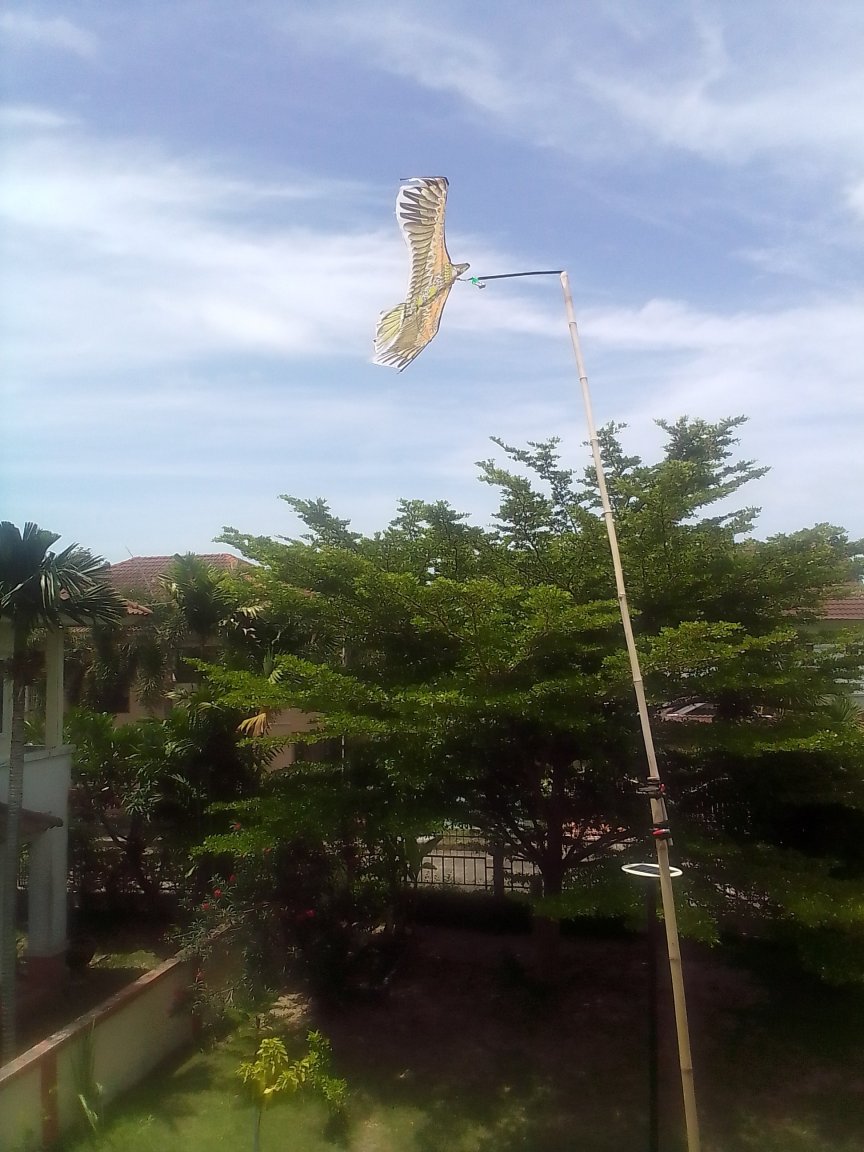 kite.jpg