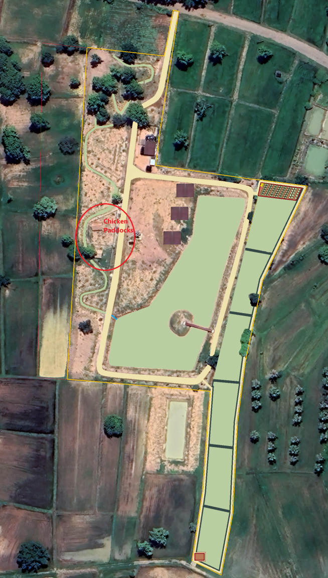 1085385872_ChickenPaddocks.thumb.png.349e7269c8a6afa2495d9d1841f875e3.png