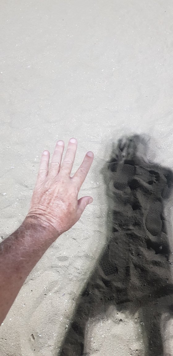 20230914_184515.thumb.jpg.172358e1ad0b9637938994199fb3b80a.jpg