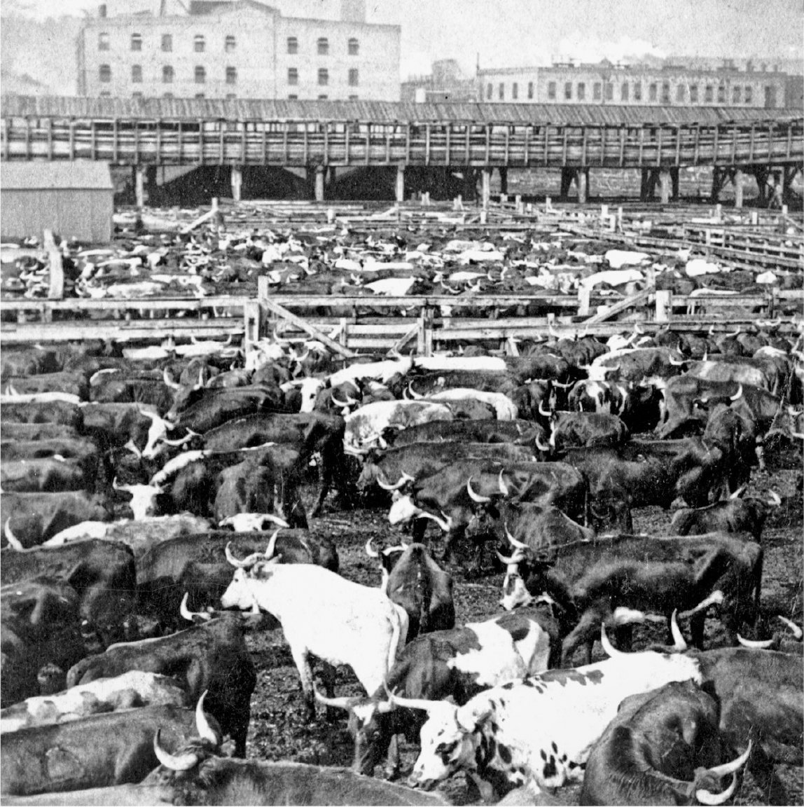 ChicagoStockYards.thumb.jpeg.5271480535441bd0733fa5c61d0c7a9e.jpeg