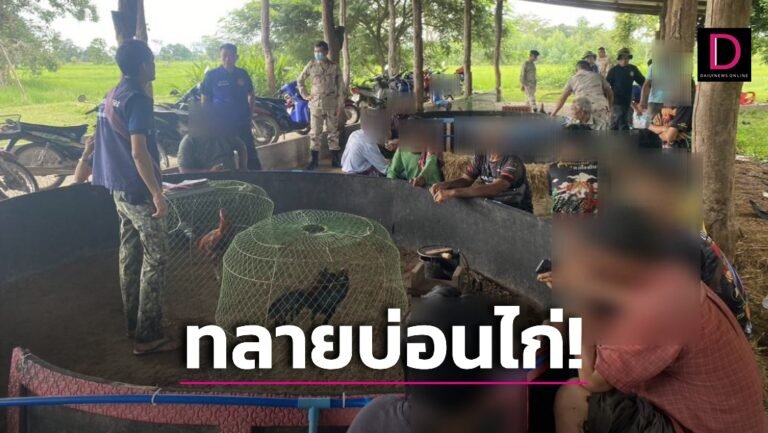 Police And Officials Raid Illegal Cockfighting Arena Arrest Dozens In Sisaket Province Isaan 