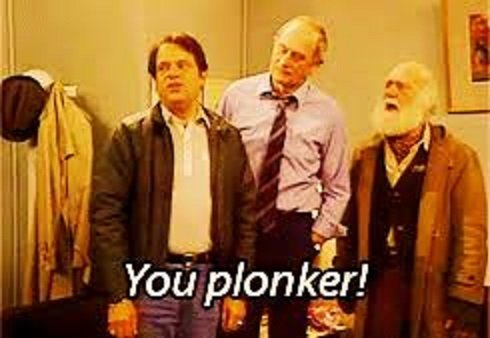 plonker.jpg.ef9047cd6cca18268b8ad1400510ae68.jpg