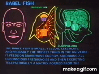 uf4gY1.gif.8c08d4e8e1d03d57dd99ea76a06b62f7.gif