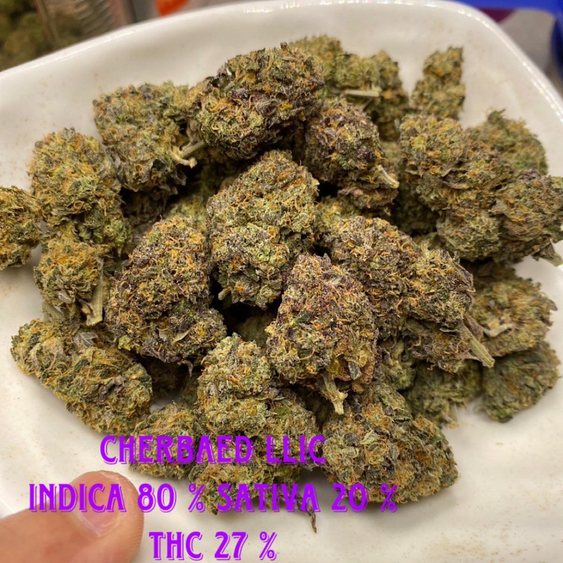 382303525_1336290553639685_8149295151821756701_n (1).jpg