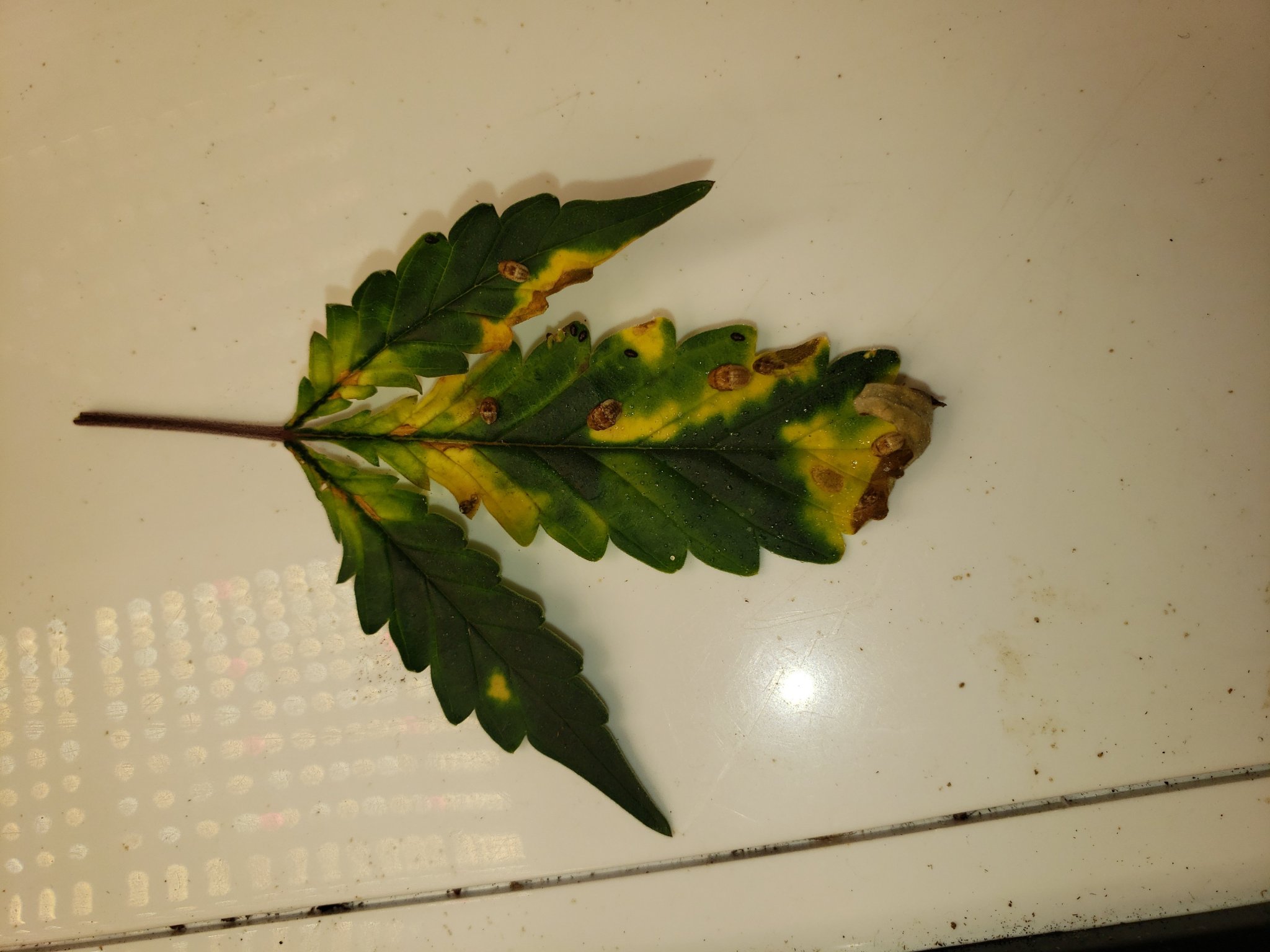 20230930_094651.jpg