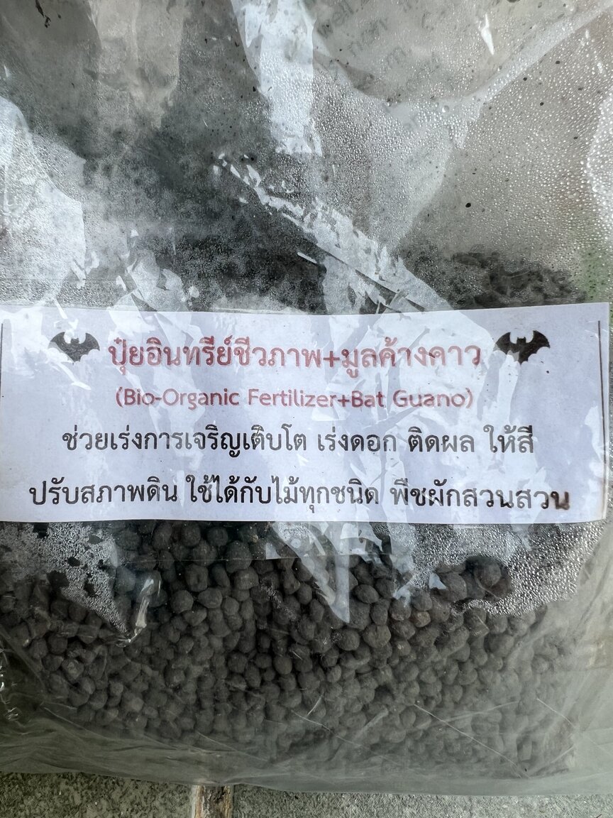 Could contain: 