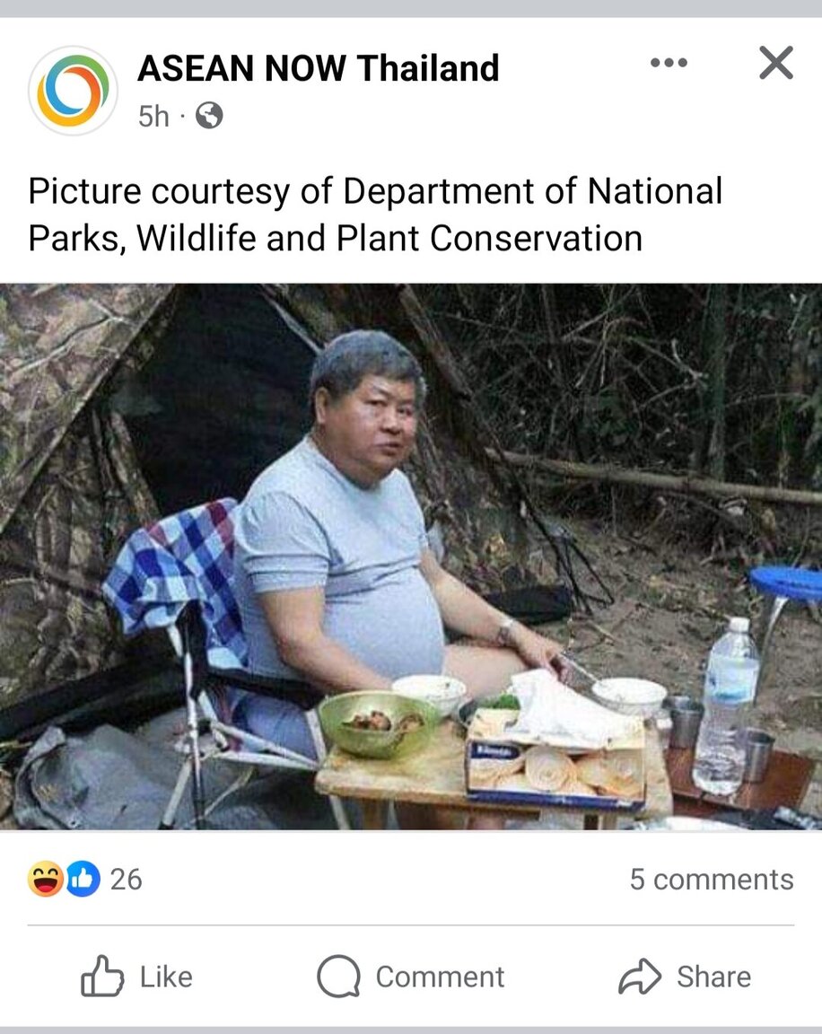 Could contain: